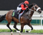Rocket Man closes in on his return<br>Photo by Singapore Turf Club